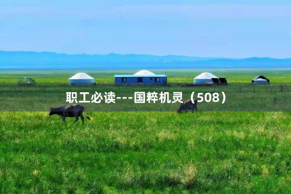 職工(gōng)必讀(dú)---國(guó)粹機(jī)靈（508）