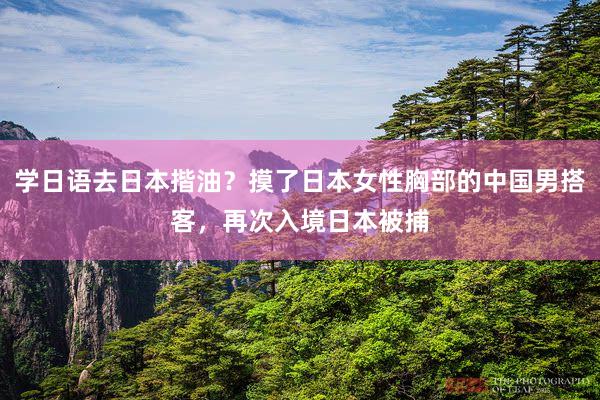 學日(rì)語去(qù)日(rì)本揩油?摸了(le)日(rì)本女(nǚ)性胸部的(de)中國(guó)男(nán)搭客,再次入境日(rì)本被捕