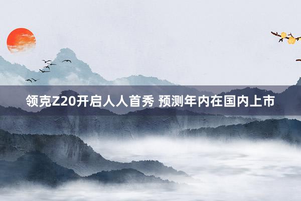 領克Z20開(kāi)啓人(rén)人(rén)首秀 預測年(nián)內(nèi)在國(guó)內(nèi)上(shàng)市(shì)