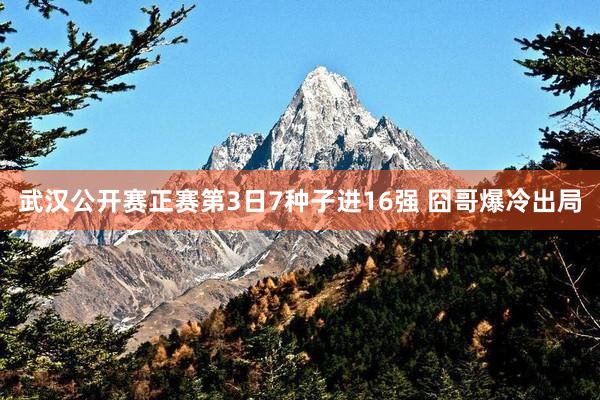 武漢公開(kāi)賽正賽第3日(rì)7種子(zǐ)進16強 囧哥(gē)爆冷(lěng)出局