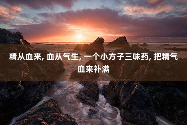 精從(cóng)血來(lái), 血從(cóng)氣生(shēng), 一(yī)個(gè)小(xiǎo)方子(zǐ)三味藥, 把精氣血來(lái)補滿