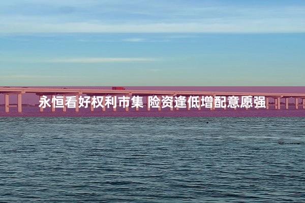 永恒看(kàn)好(hǎo)權利市(shì)集 險資逢低(dī)增配意願強